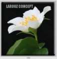 /album/photo-gallery-canvas-uri/decoratiuni-de-perete-canvas-lc-1051-jpg/